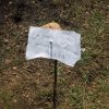 A nechali sme pozdrav aj pre p. dekana Kutiša,